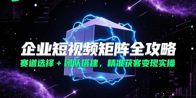 企业短视频矩阵全攻略，赛道选择+团队搭建，精准获客变现实操-萤火网创