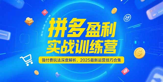 拼多多盈利实战训练营，强付费玩法深度解析，2025运营技巧合集-更新6月-萤火网创