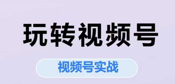 玩转视频号，视频号实战系列课-萤火网创