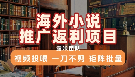 海外小说推广返利项目，视频投喂， 一刀不剪，矩阵批量-萤火网创