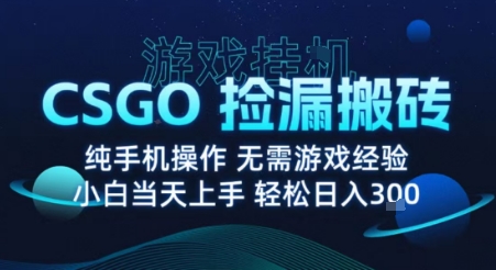 8月最新游戏搬砖，CSGO纯挂G，不需要玩游戏，实现真挂G，月入1W+【揭秘】-萤火网创