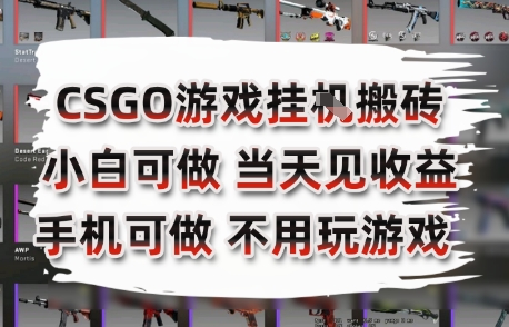 CSGO游戏挂G搬砖，小白纯手机即可操作，不用电脑打游戏，日入3张+，副业网创项目【揭秘】-萤火网创
