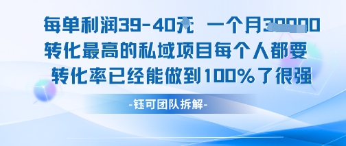 每单利润40一个月7k+转化最高的私域项目，每个人都要的产品转化率已经能做到100%-萤火网创