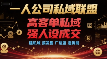 一人公司私域联盟，高客单私域，强人设成交，建私域 搞发售 广结盟 造势能-萤火网创