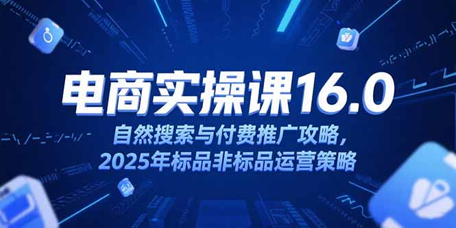 淘宝电商运营课16.0，自然搜索与付费推广攻略，2025年标品非标品运营策略-萤火网创