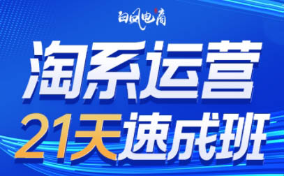 白凤电商·淘系运营21天速成班(更新7月)-萤火网创