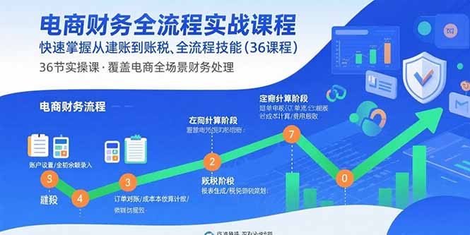 电商财务全流程实战课程：快速掌握从建账到报税的全流程技能(36节课-萤火网创