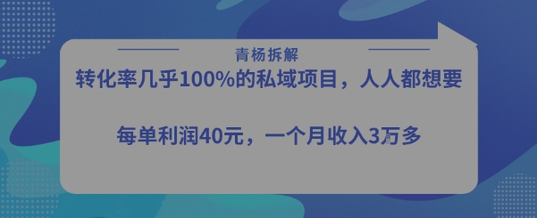 转化率最高的私域项目，每单利润40-50米，月入过1w-萤火网创