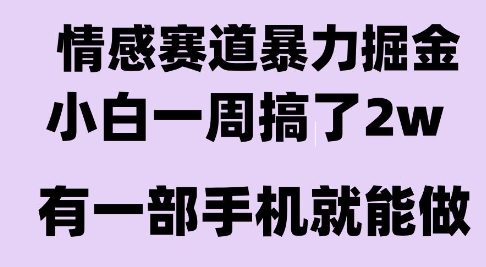 情感暴力掘金项目，新人操作一周挣了2W，长期稳定小白可做【揭秘】-萤火网创