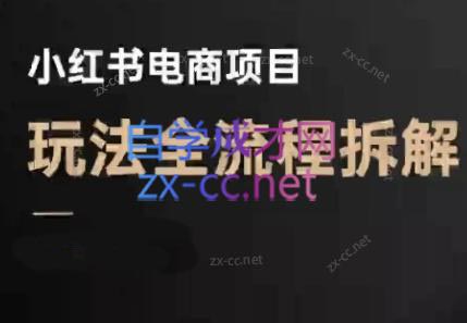 菲菲老师·小红书电商玩法(更新7月)-萤火网创