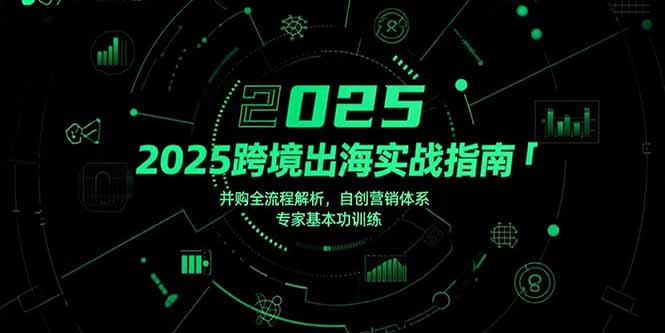 2025跨境出海实战指南，并购全流程解析，自创营销体系，专家基本功训练-萤火网创