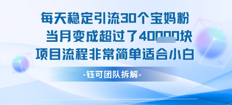 每天稳定引流30个人 当月变成超过了4个W项目流程非常简单适合小白-萤火网创