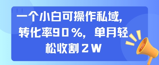 一个小白可操作私域，转化率90%，单月轻松收割2W-萤火网创