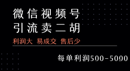 视频号卖二胡教程，利润大 易成交 售后少，一单利润5张+-萤火网创