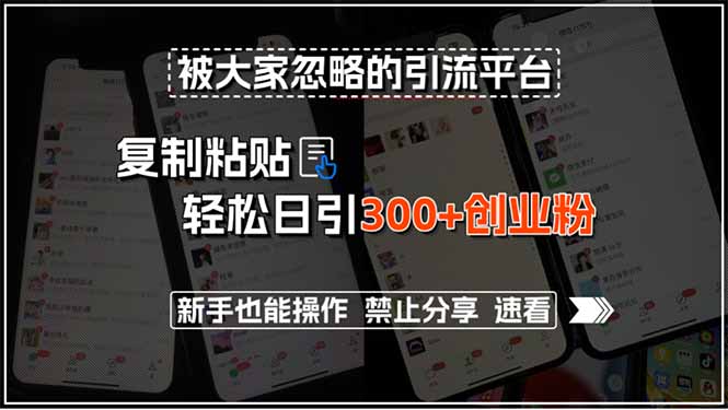被大家忽略的引流平台，复制粘贴轻松日引300+创业粉，新手也能操作，禁…-萤火网创