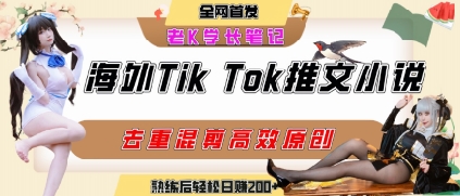 海外tiktok小说推文暴力项目，高停留率，高转化率，上手后一天搞顿饭钱不是问题-萤火网创