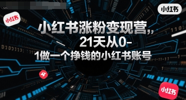 小红书涨粉变现营，21天从0-1做一个挣钱的小红书账号-萤火网创