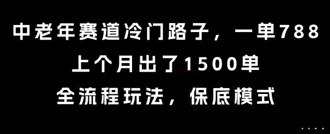 中老年赛道冷门路子，一单788，上个月出了1500单，全流程玩法，保底模式【揭秘】-萤火网创
