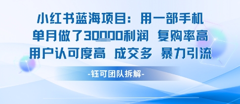 小红书蓝海项目，一部手机单月做了3W利润，小白也能月入过1W用户认可度高成交多-萤火网创
