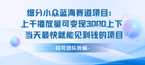 小众蓝海赛道项目：当天变现1k+适合新手操作 +适合长期玩-萤火网创