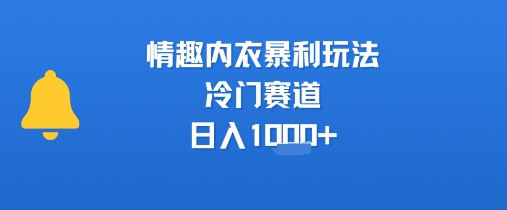 情趣内衣暴利玩法，冷门赛道，日入1k+-萤火网创