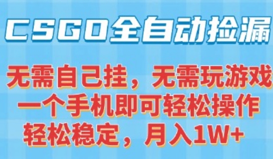 CSGO自动捡漏项目，最新独家玩法，一个手机可操作，新手小白轻松月入1W+，操作简单易上手【揭秘】-萤火网创