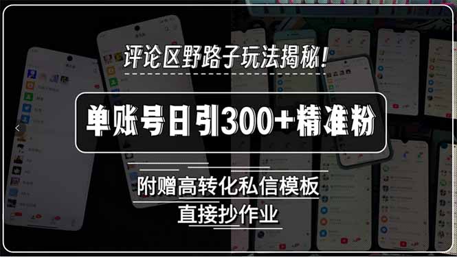 评论区野路子玩法揭秘！单账号日引300+精准粉，附赠高转化私信模板，直…-萤火网创