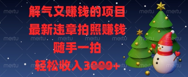 解气又挣钱的项目，最新违章拍照挣钱，随手一拍，轻松收入数张【揭秘】-萤火网创