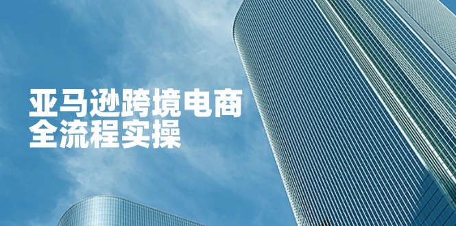 亚马逊跨境电商全流程实操，教你从零开始，掌握店铺运营与广告技巧-萤火网创