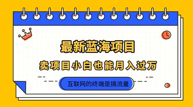 2025年最新蓝海项目，卖项目小白也能月入过万-萤火网创