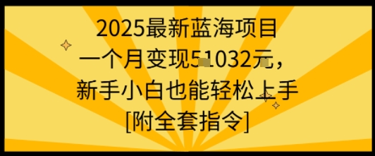 2025最新蓝海项目一个月变现1w+新手小白也能轻松上手【附全套指令】-萤火网创