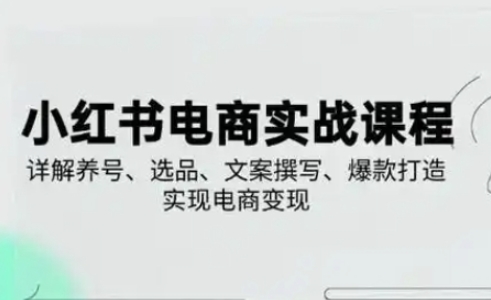 小红书从0-1实操课(2023-2025)，详解养号、选品、文案撰写、爆款打造实现电商变现-萤火网创