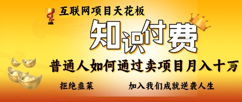 互联网项目天花板，知付付费项目，普通人如何通过卖项目月入十个，拒绝韭菜【揭秘】-萤火网创