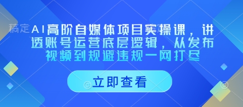 AI高阶自媒体项目实操课，讲透账号运营底层逻辑，从发布视频到规避违规一网打尽-萤火网创
