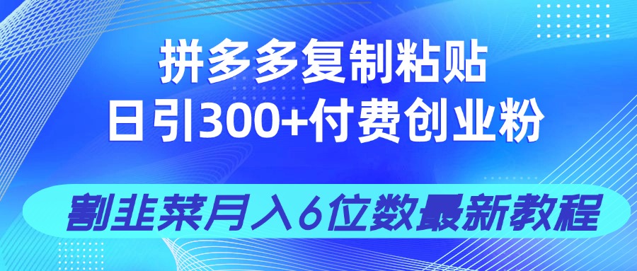 拼多多复制粘贴日引300+付费创业粉，割韭菜月入6位数最新教程！-萤火网创