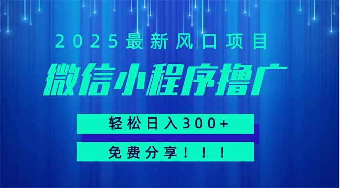 微信小程序撸广，最新风口项目，日入300+ 免费分享 可批量操作 小白可…-萤火网创