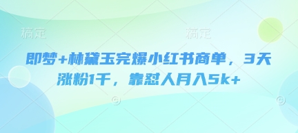 即梦+林黛玉完爆小红书商单，3天涨粉1千，靠怼人月入5k+-萤火网创