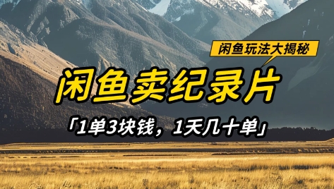 闲鱼卖纪录片1单3块钱，1天几十单，项目稳定有潜力-萤火网创