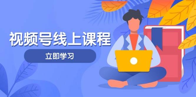 视频号实战课程，轻IP打造与运营技巧，掌握核心方法与策略-萤火网创