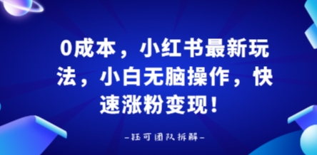 0成本，小红书最新玩法，小白无脑操作，快速涨粉变现-萤火网创