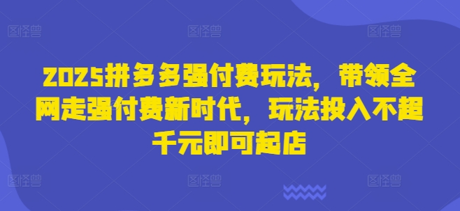 2025拼多多强付费玩法，带领全网走强付费新时代，玩法投入不超千元即可起店-萤火网创