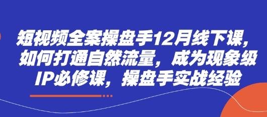 短视频全案操盘手12月线下课，如何打通自然流量，成为现象级IP必修课，操盘手实战经验-萤火网创