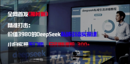 精准打击：价值3980的DeepSeek私域引流实操课，小白实操无门槛，日引精准粉300+-萤火网创
