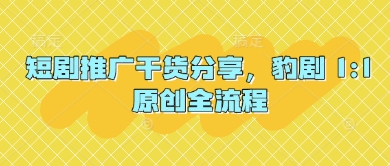短剧推广干货分享，豹剧 1:1原创全流程-萤火网创