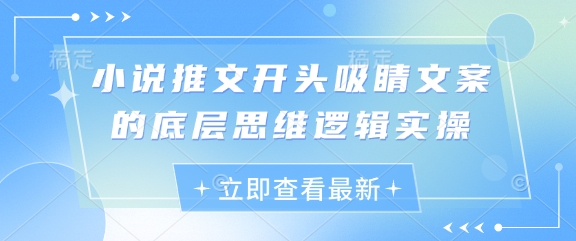 小说推文开头吸睛文案的底层思维逻辑实操-萤火网创