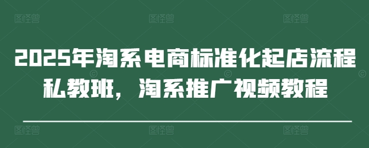 2025年淘系电商标准化起店流程私教班，淘系推广视频教程-萤火网创