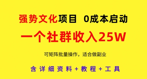 强势文化项目，一个社群收入25个W，0成本启动，可矩阵批量操作，原创详细实操教程-萤火网创