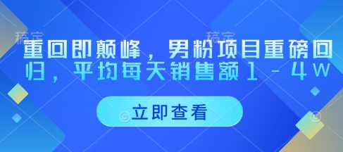 重回即颠峰，男粉项目重磅回归，平均每天销售额1-4W-萤火网创