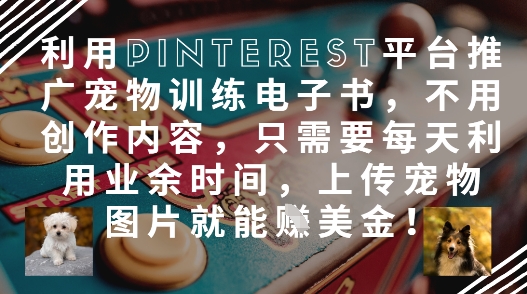 利用Pinterest平台推广宠物训练电子书，不用创作内容，只需要每天利用业余时间，上传宠物图片就能挣美金!-萤火网创