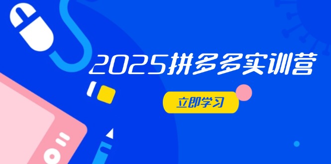 2025拼多多实训营：深度剖析运营关键，助力电商人快速提升-萤火网创
